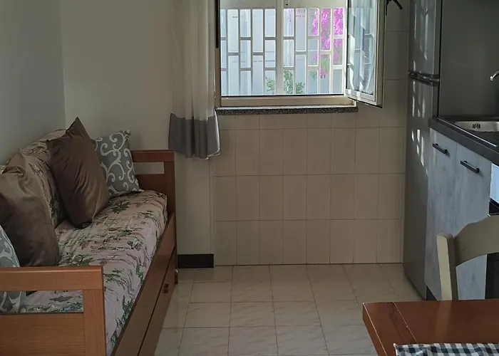 Domus Parva, Con Giardino