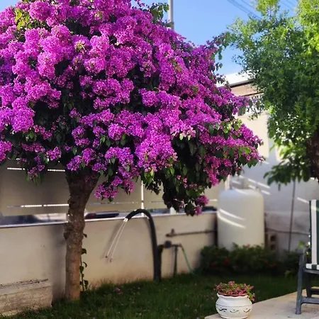 Vakantiehuis Domus Parva, Con Giardino Pompeï