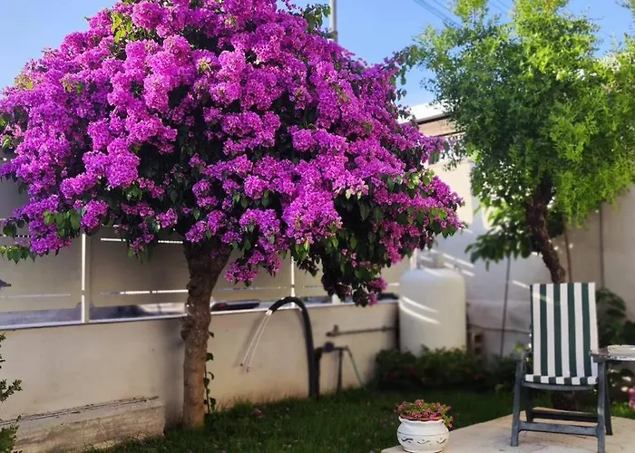 度假居 Domus Parva, Con Giardino 庞贝